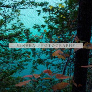 Azure Tree Reflection