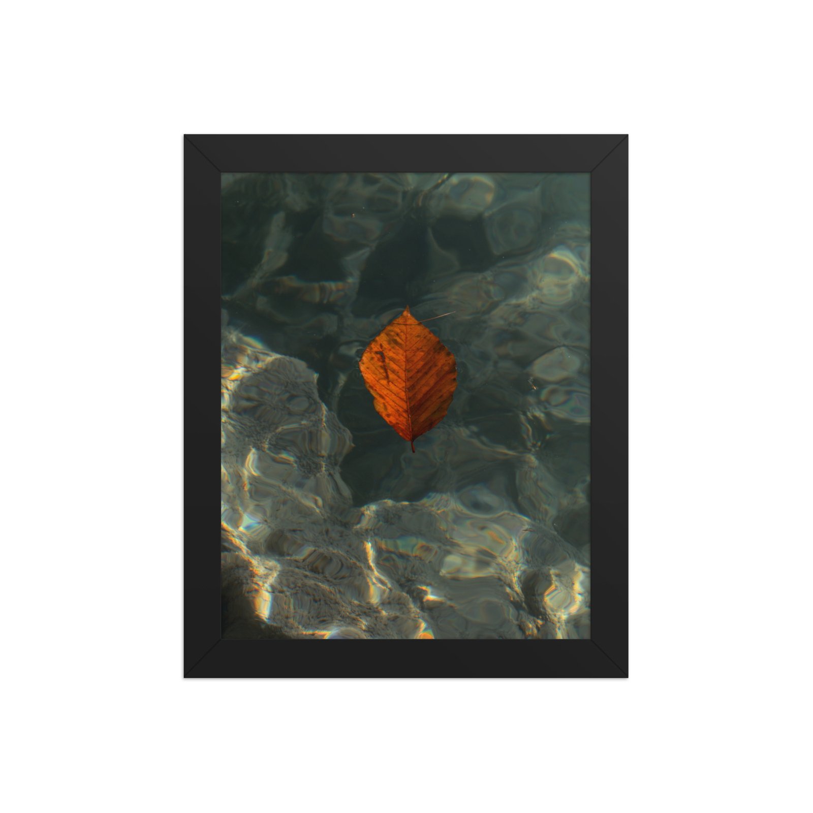 Leaf - Matte Paper Framed Poster