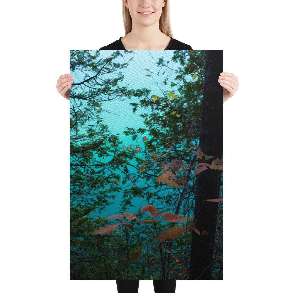 Azure Tree Reflection - Matte poster