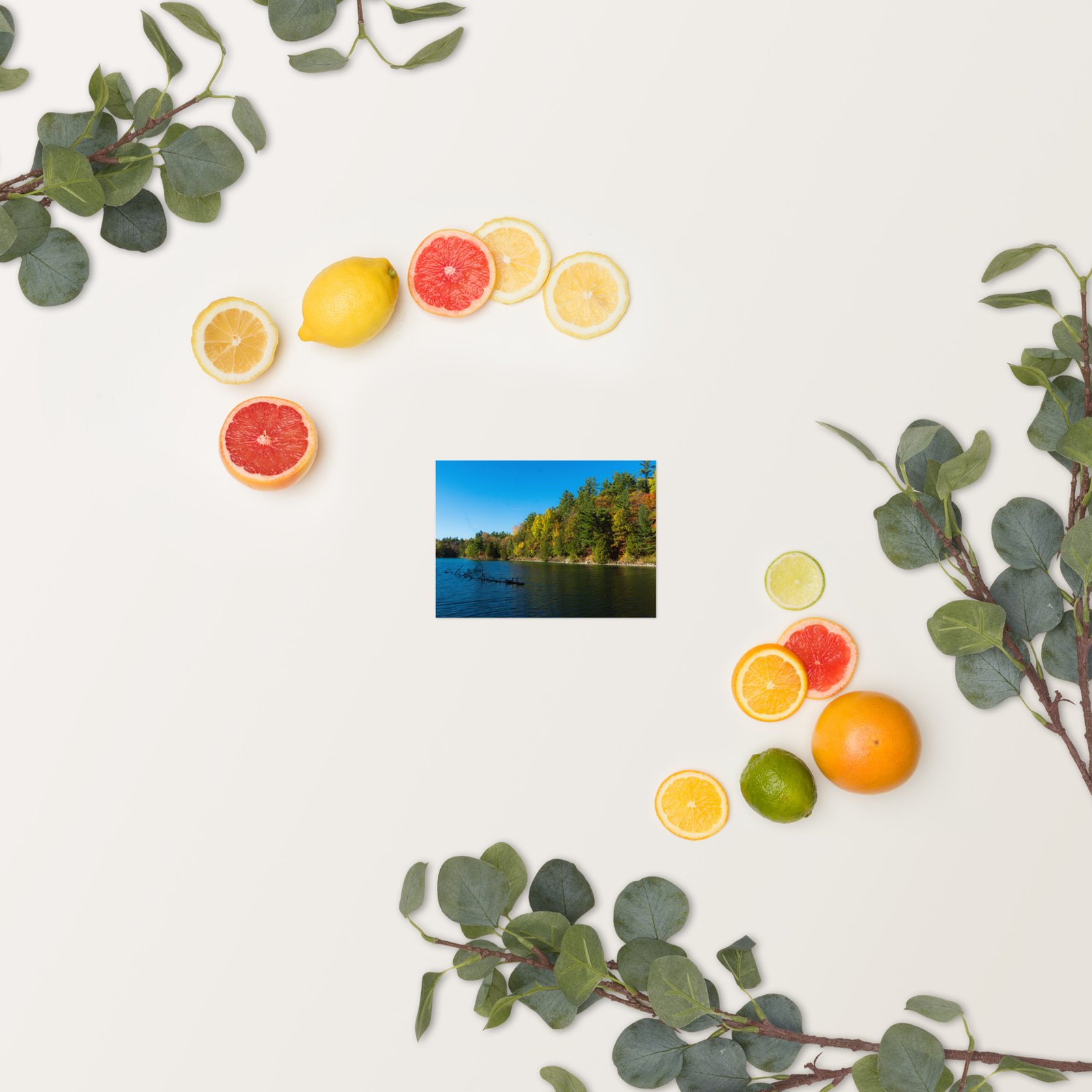 Lake View - Matte Paper Poster